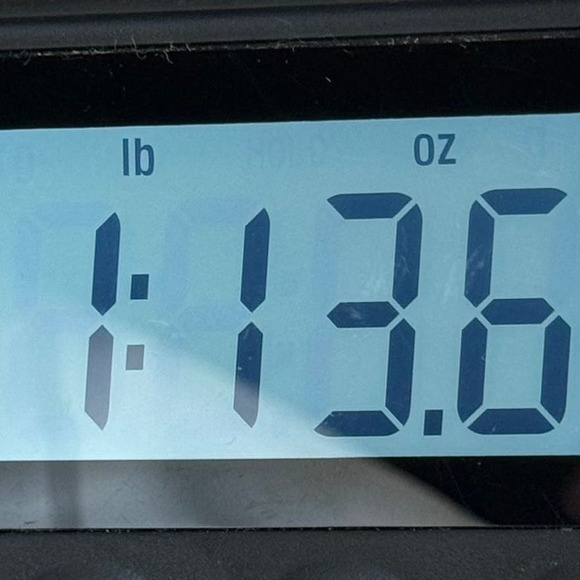 Zaza Women's Sweater Size Large Speak Up Eagle - Picture 9 of 10